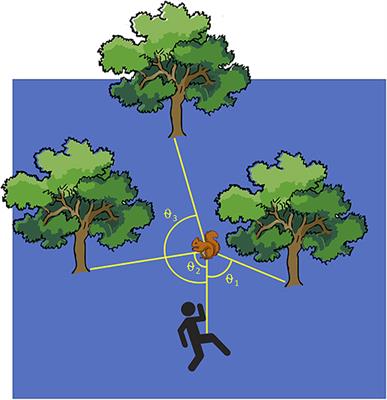 <mark class="highlighted">Squirrel</mark>s Do the Math: Flight Trajectories in Eastern Gray <mark class="highlighted">Squirrel</mark>s (Sciurus carolinensis)
